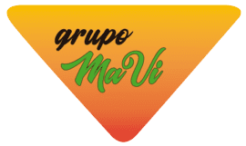 Logo Grupo MaVi